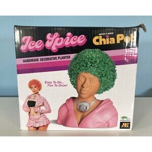 Ice Spice Chia Pet Handmade Decorative Planter • Spice Girls (2023)